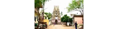 48. திருப்பாடகம் (பாண்டவ தூதர் கோயில்)